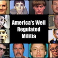 AmericasWellRegulatedMilitia