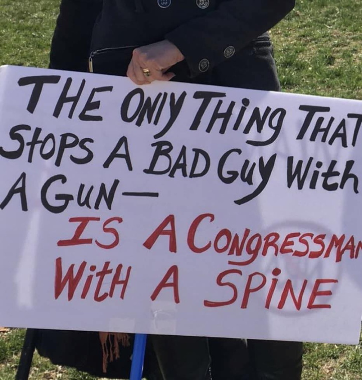 the-only-thing-that-stops-a-bad-guy-with-a-gun-is-a-congressman-with-a-spine