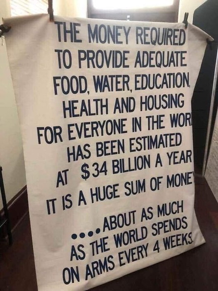 Human-needs-versus-arms