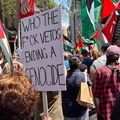 Vetoing-ending-a-genocide