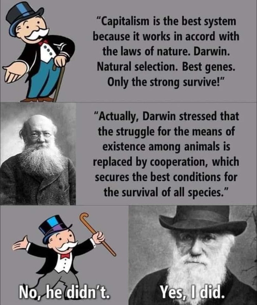 Darwin-on-competition-and-cooperation