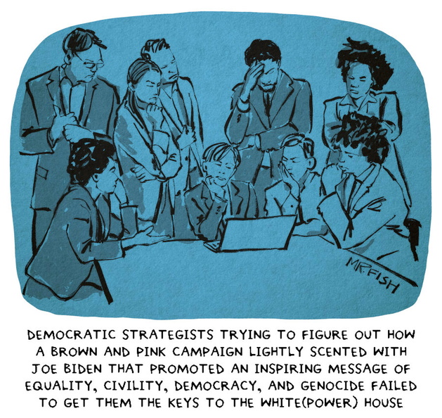 Dem-strategists
