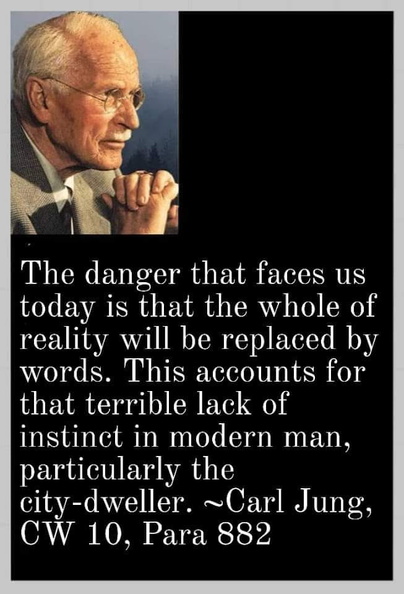 Carl-Jung-on-words-and-instinct