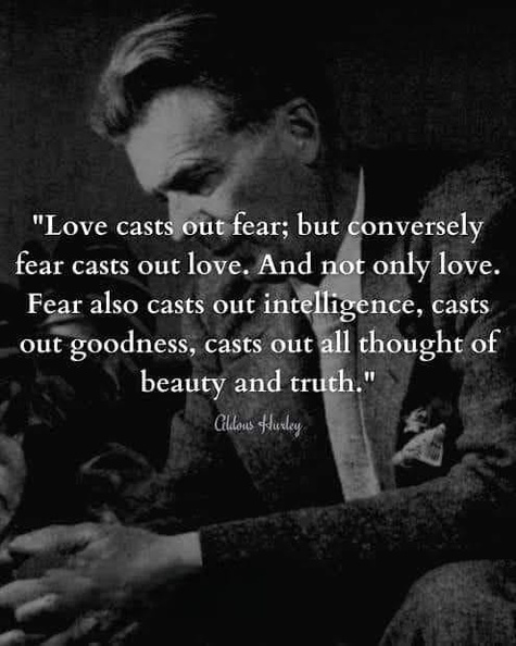 Akdiys-Huxley-on-fear-and-love