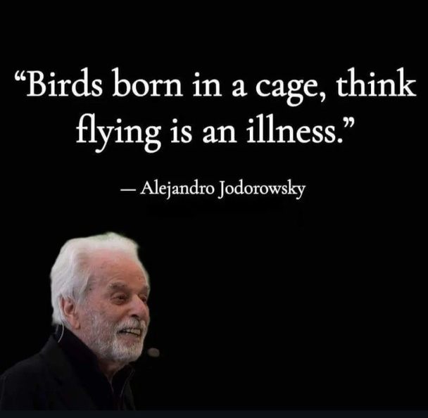 Alejandro-Jodorowsky--Birds-born-in-a-cage-think-flying-is-an-illness