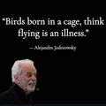 Alejandro-Jodorowsky--Birds-born-in-a-cage-think-flying-is-an-illness