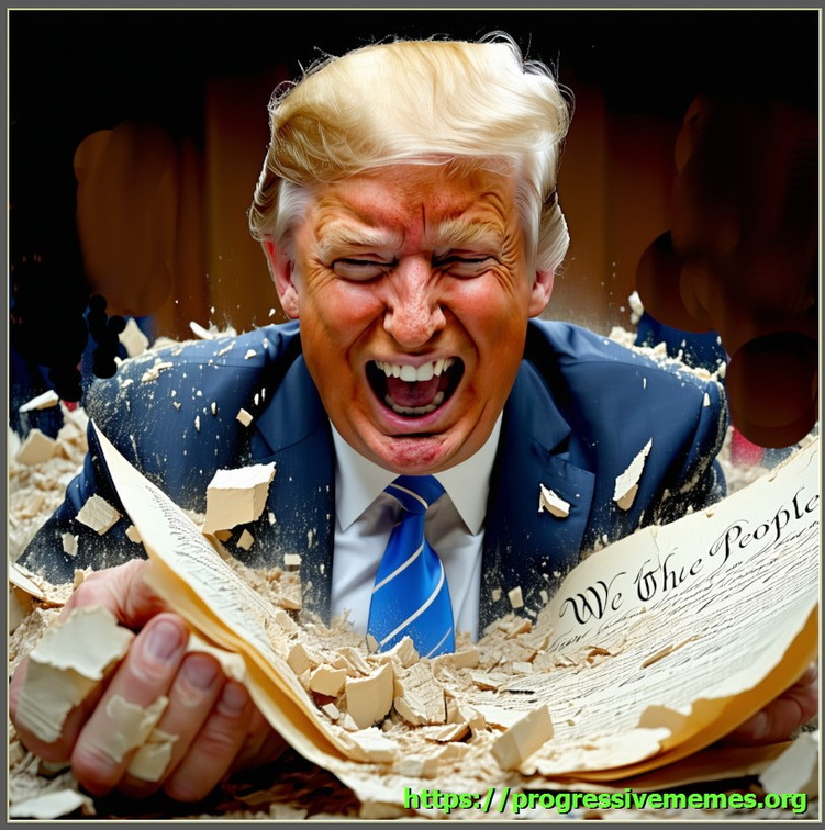 Trump-tearing-up-the-Constitution-4