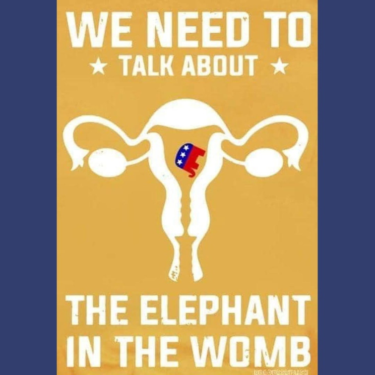 The-Elephant-in-the-Womb