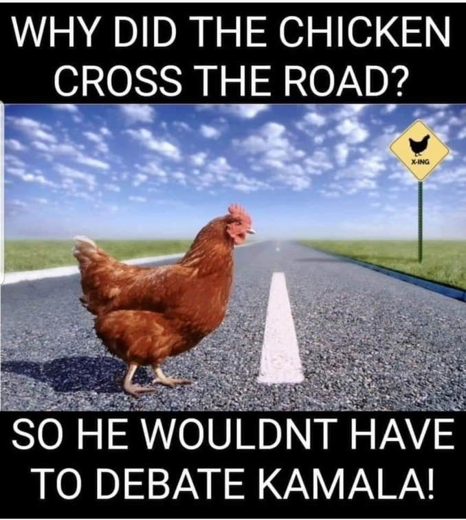 chicken