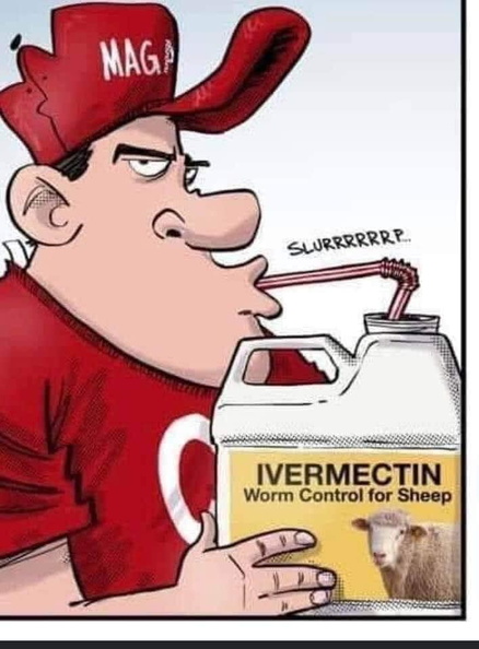 worm-control-for-sheep