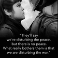 Zinn-on-Disturbing-War