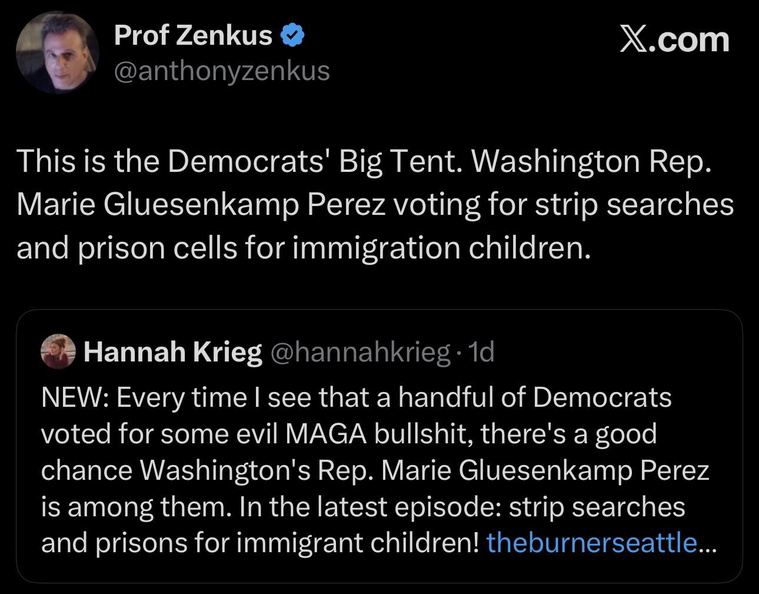 Another-bad-vote-by-Marie-Gluesencamp-Perez