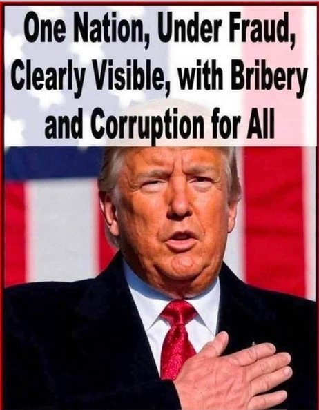 One-nation-under-fraud