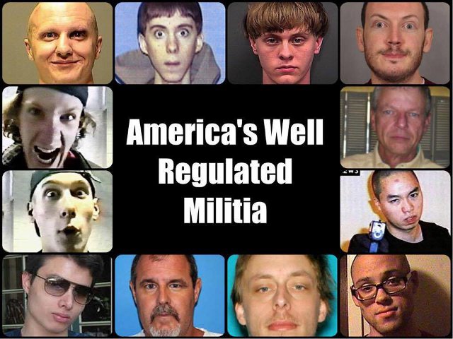 AmericasWellRegulatedMilitia