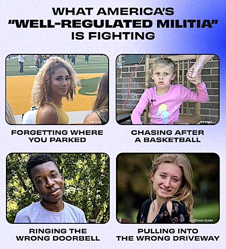well-regulated-militia-my-ass