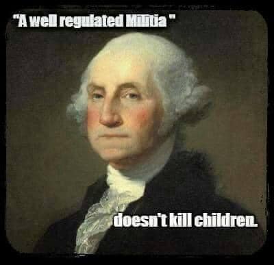 well-regulated-militia