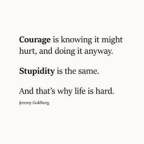courage-and-stupidity-are-similar