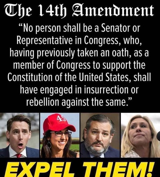 Expel-the-insurrectionists-via-the-14th-amendment
