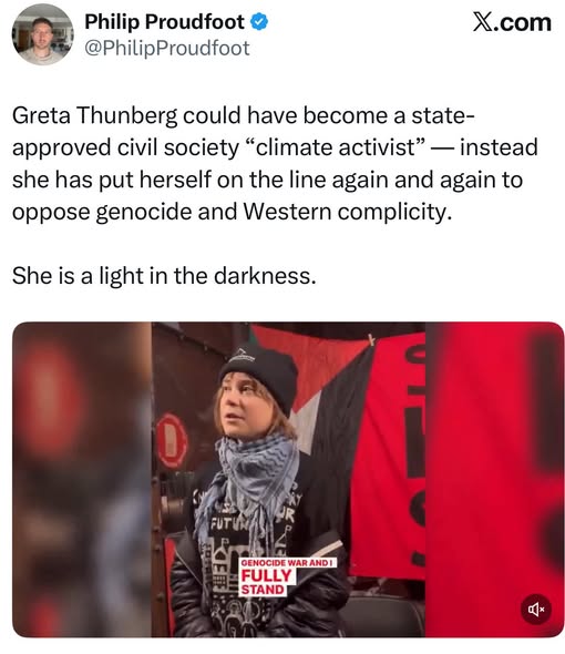 Greta-Thunberg-heroine
