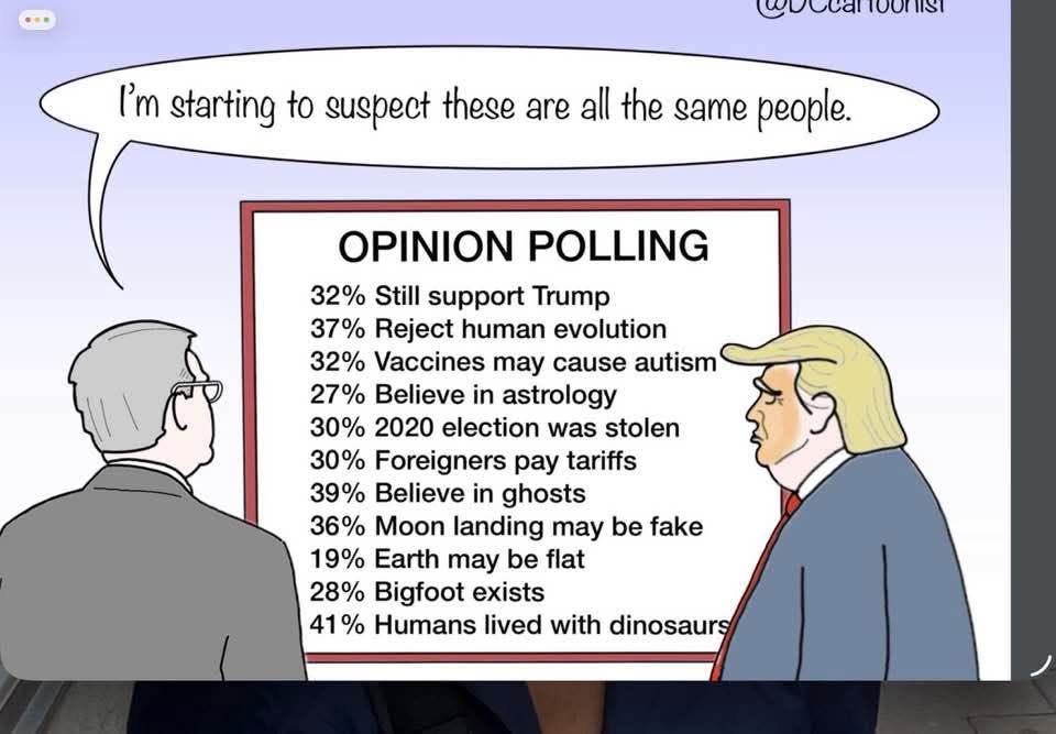 dumb-people